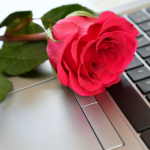 top 4 online dating scams to look out for